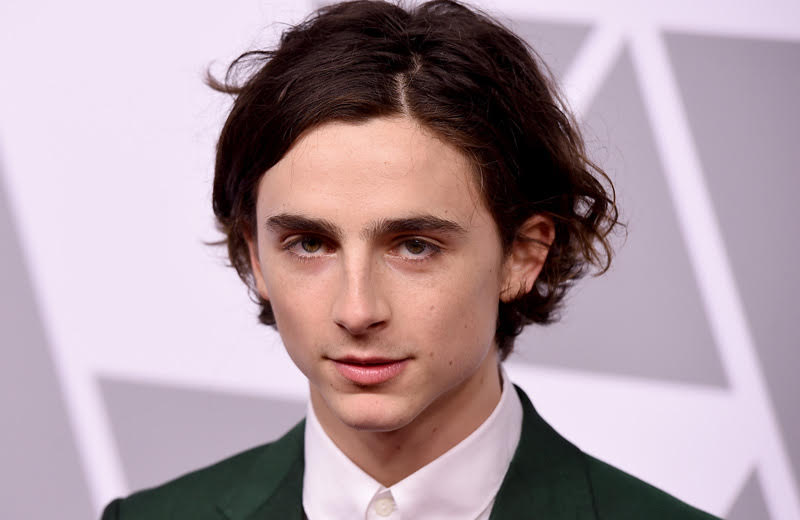 Timothee Chalamet To Play Young Henry V In The King