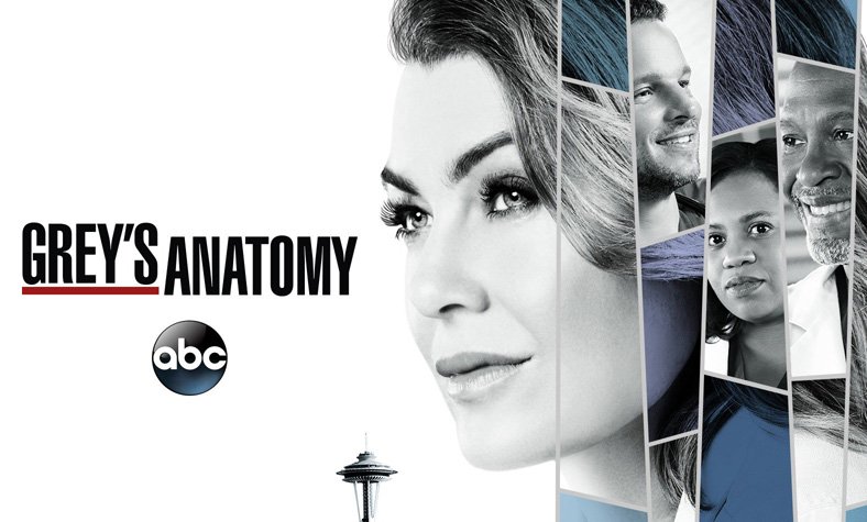 Grey s Anatomy Season 15 Given the Green Light by ABC