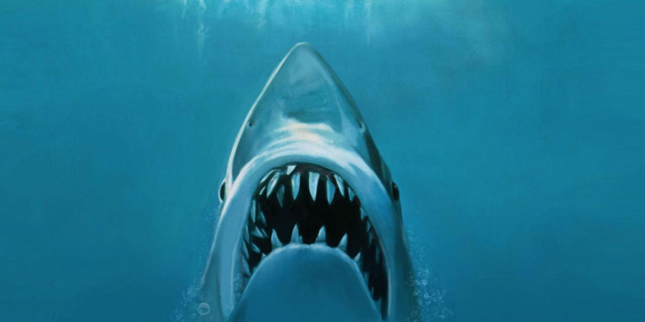 The 10 Best Shark Movies List from