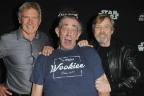 Harrison Ford, Mark Hamill and More Pay Tribute to Peter Mayhew