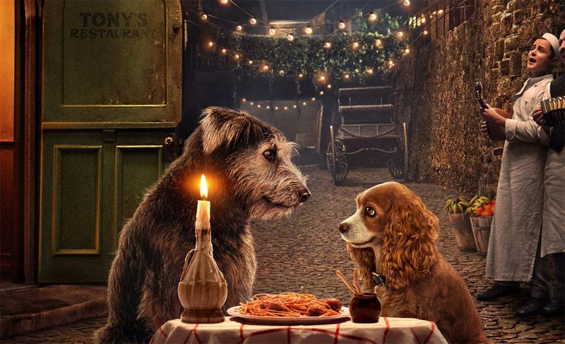 D23: Lady and the Tramp Trailer for Disney+'s Live-Action Remake!