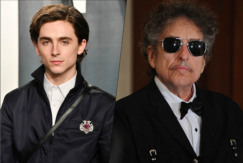 Timothée Chalamet Led Bob Dylan Biopic Paused Indefinitely