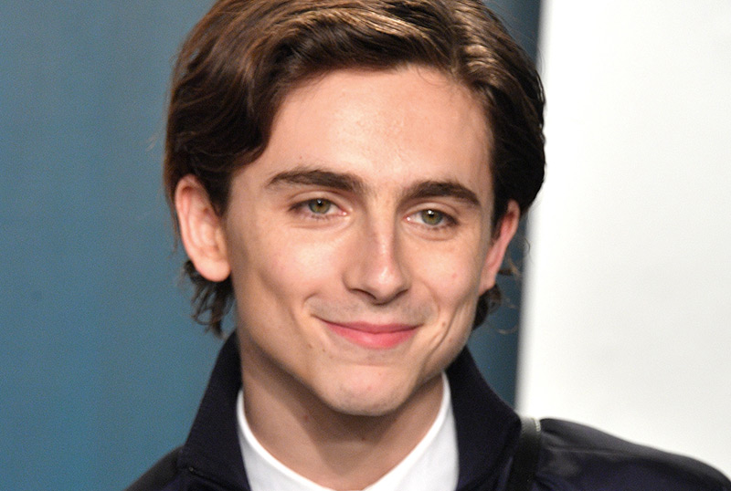 Timothée Chalamet Cast as Willy Wonka in WB's Charlie & the