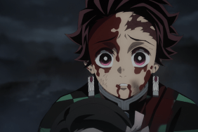 Demon Slayer Season 2 Finale Review - No Matter How Many Lives