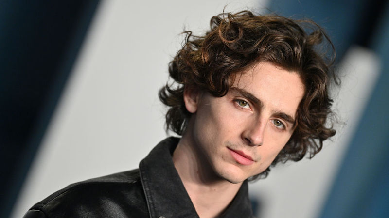 Heat 2: Al Pacino Wants Timothée Chalamet to Play His Role in Sequel