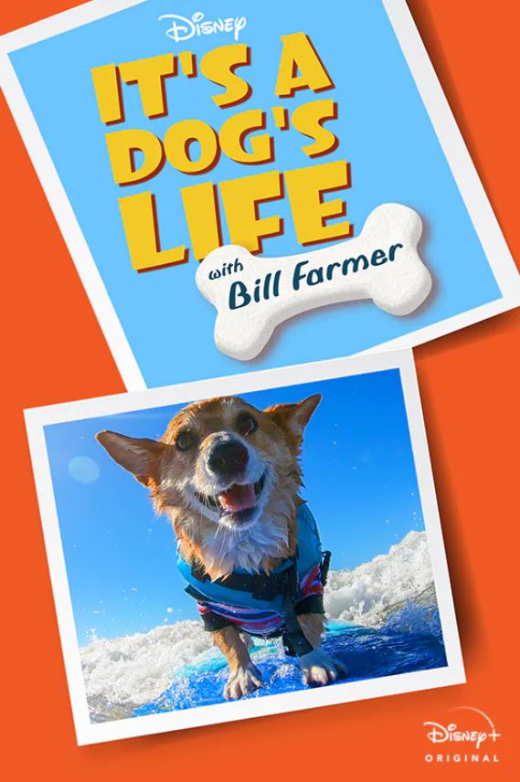 It's A Dog's Life with Bill Farmer on Disney+