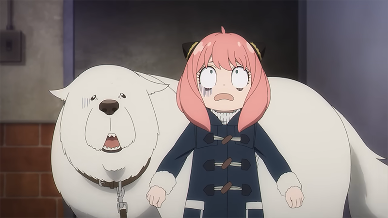post animes on X: Anime: Dog Days  / X