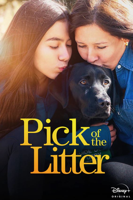 Pick of the Litter on Disney+