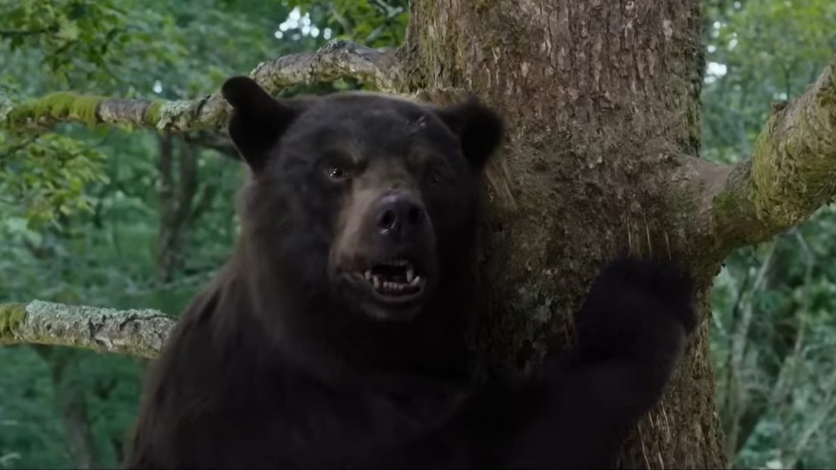 Cocaine Bear Featurette Teases Horror Comedy Movie's Bizarre Premise