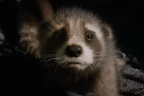 Guardians of the Galaxy Vol. 3 Posters Put the Focus on Rocket Raccoon