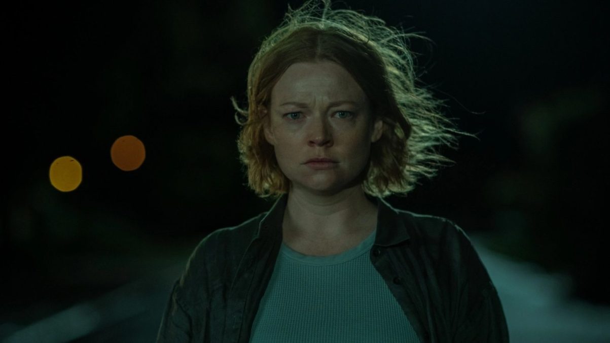 Run Rabbit Run Trailer Succession's Sarah Snook Stars in Netflix Movie