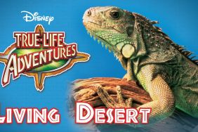 The Living Dessert: Where to Watch & Stream Online