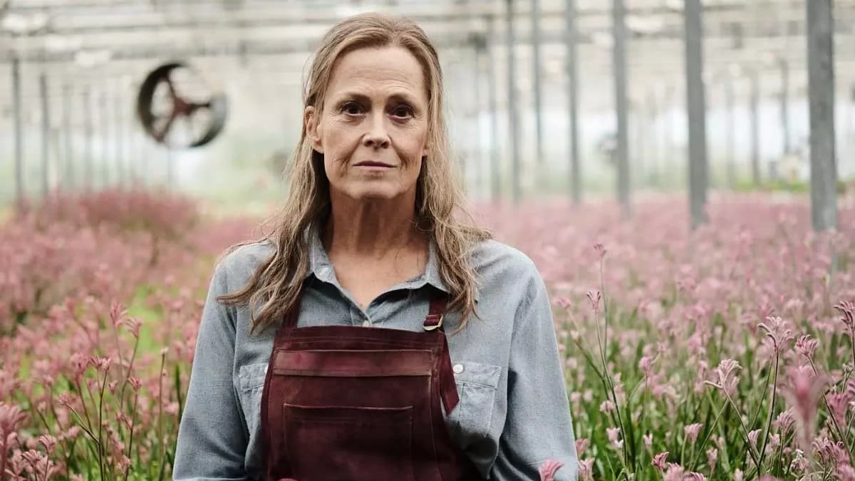 The Lost Flowers of Alice Hart Season 2 Release Date Rumors: Is It ...