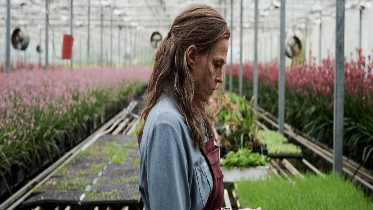 The Lost Flowers of Alice Hart Where to Watch Stream Online