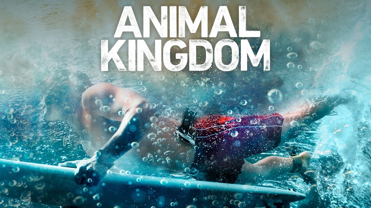 Animal Kingdom Season 2 Where to Watch & Stream Online