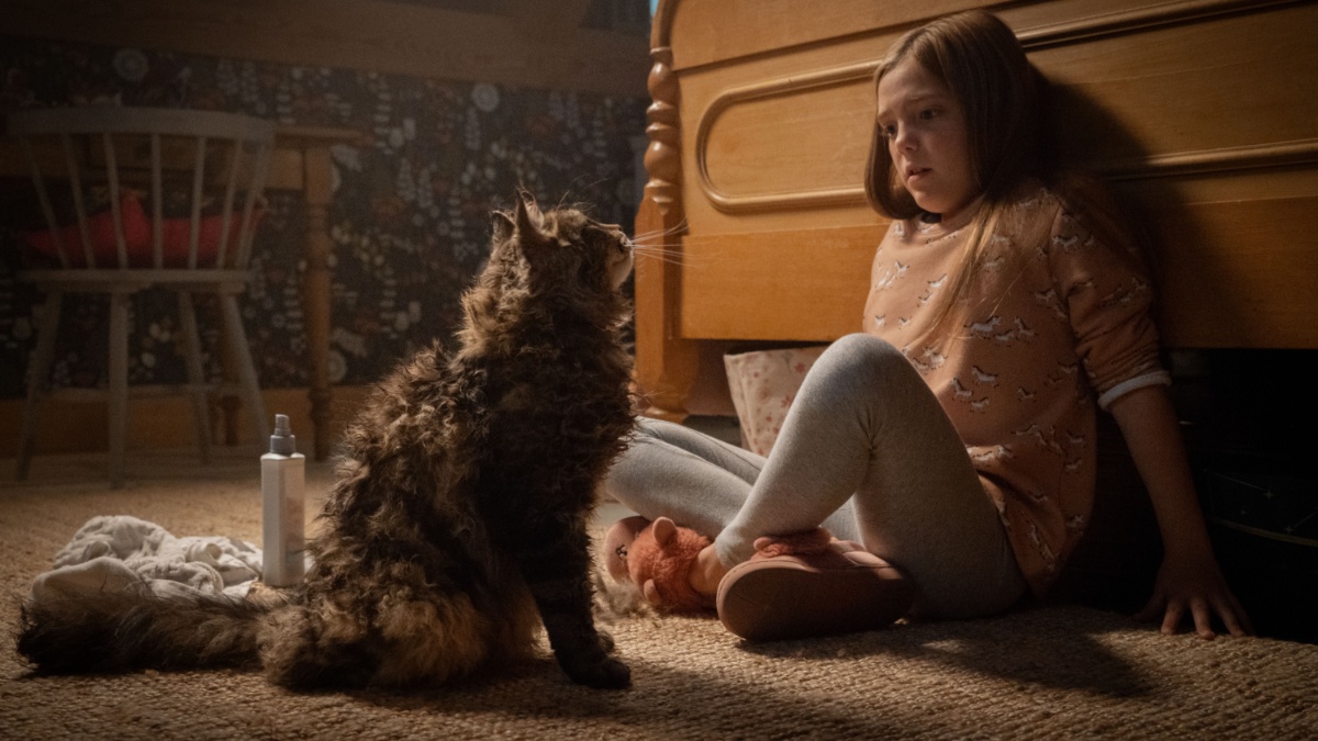 Pet Sematary 2019 Streaming Watch Stream Online via Paramount Plus