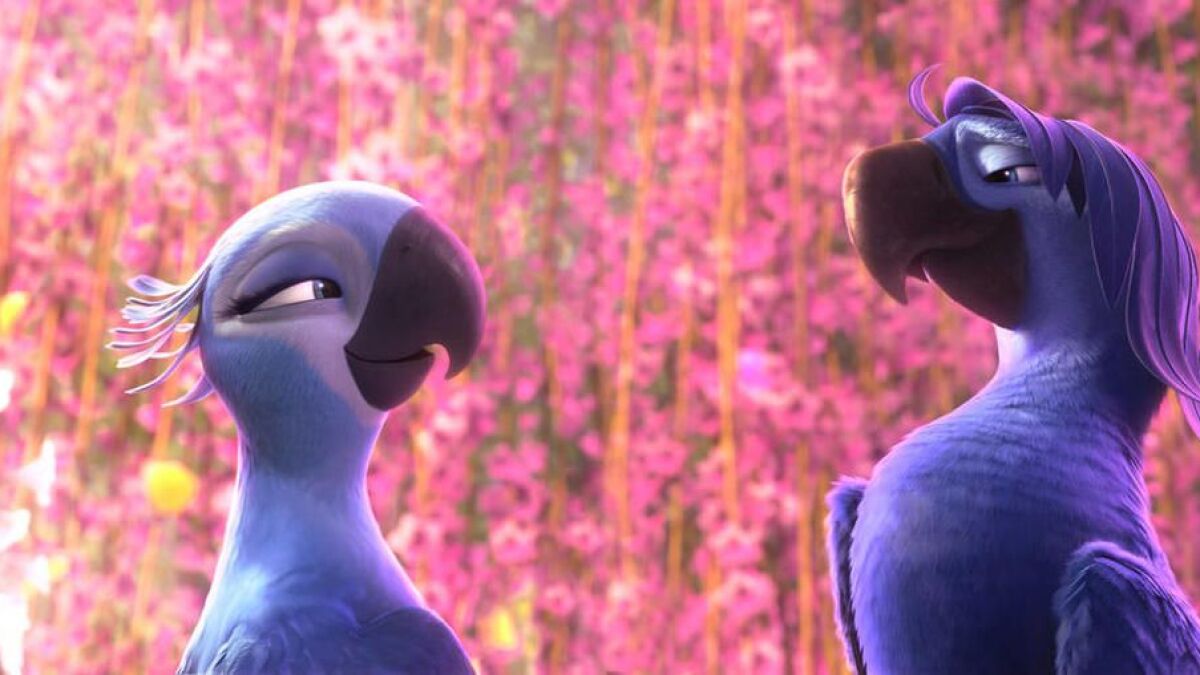 Rio 3 Release Date Rumors When Is It Coming Out?