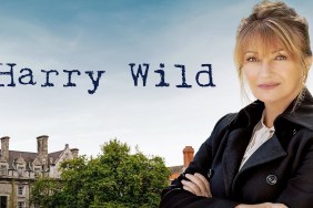 Harry Wild Season 1