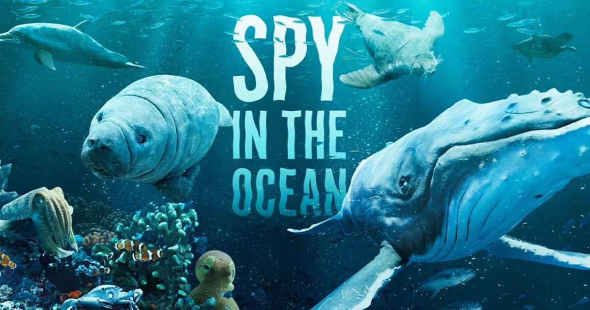 Spy in the Ocean, A Nature Miniseries Season 1: How Many Episodes