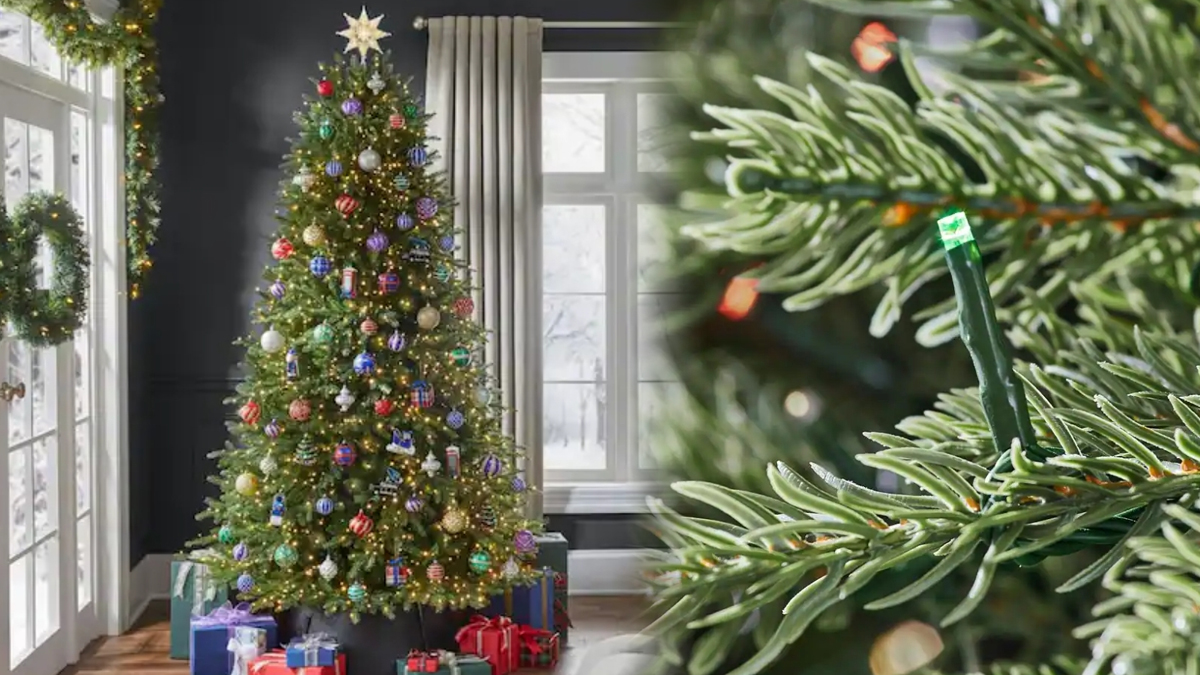 TikTok Christmas Tree: Where To Buy the T27 Grand Duchess & Why Its Viral