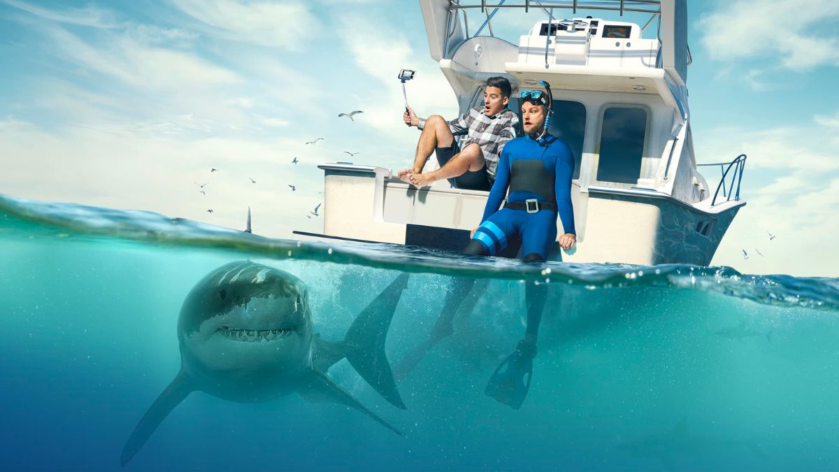 Watch Game of Sharks Streaming Online