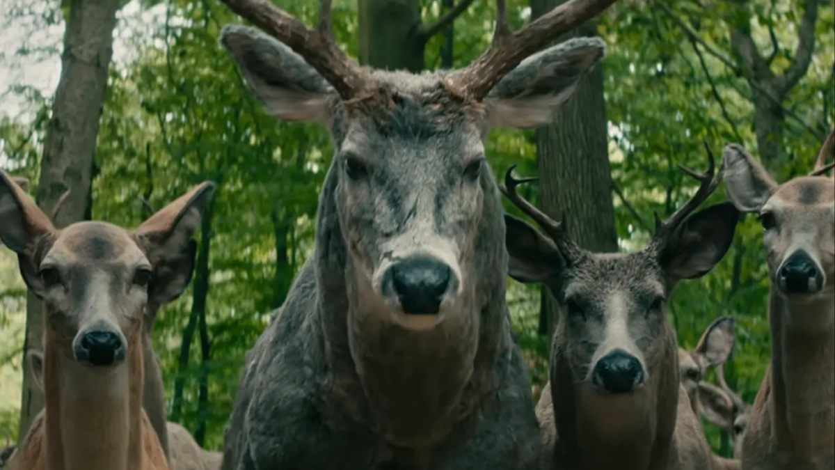 leave-the-world-behind-what-was-the-meaning-of-the-deer-explained