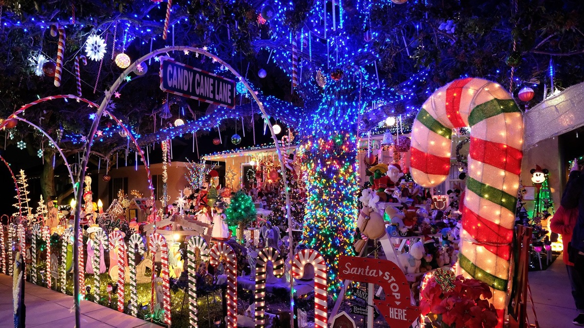 The Great Christmas Light Fight Season 10 Streaming Watch Stream   The Great Christmas Light Fight Season 10 