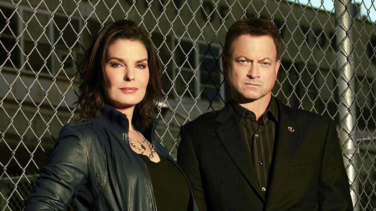 CSI: NY Season 9 Streaming: Watch & Stream Online via Hulu and Paramount  Plus