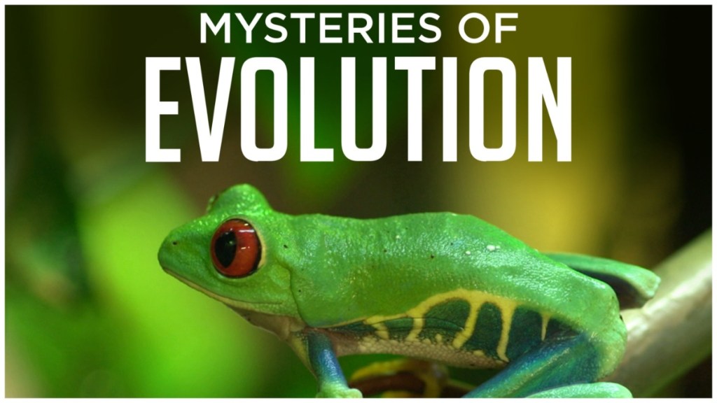 Mysteries of Evolution