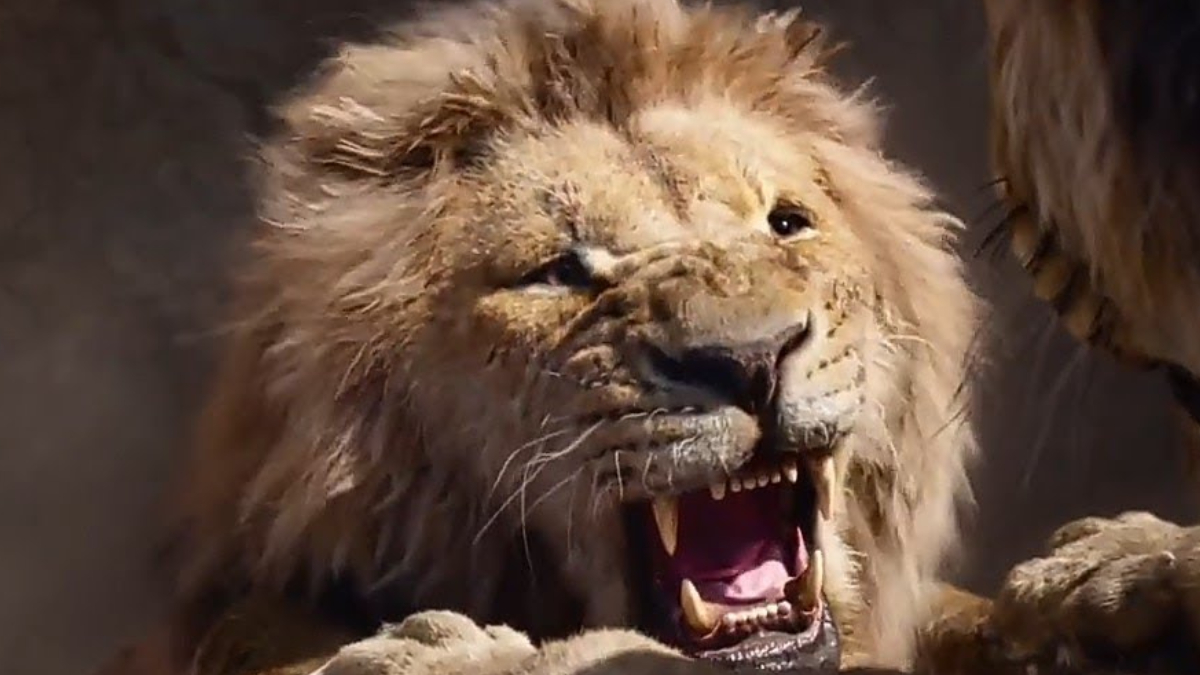 Mufasa Star Gives Update, Shares New Details About Disney’s Lion King Prequel