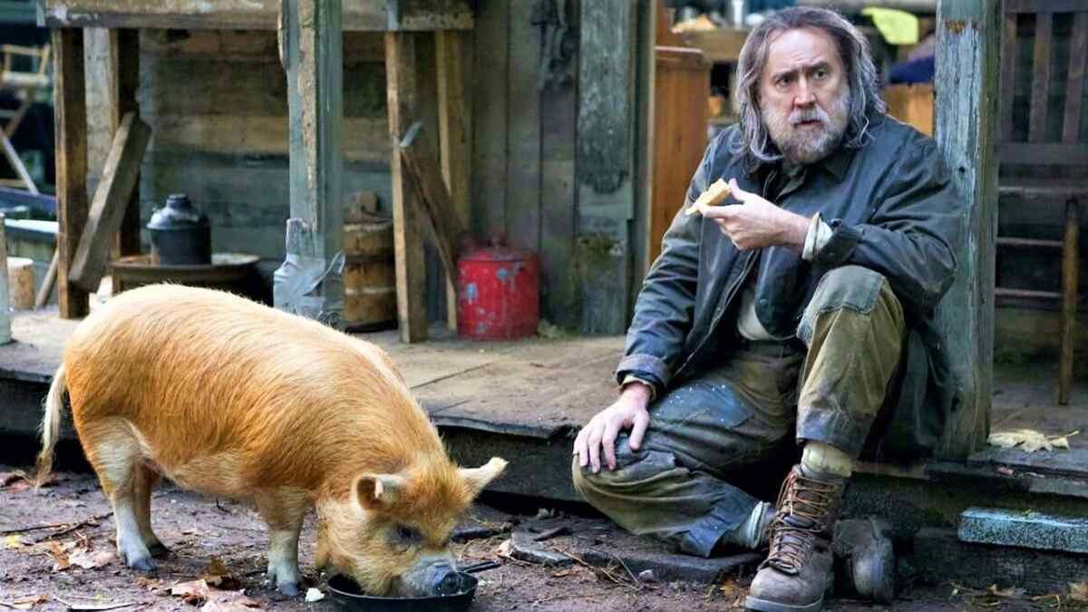 Pig (2021) Streaming: Watch & Stream Online via Hulu