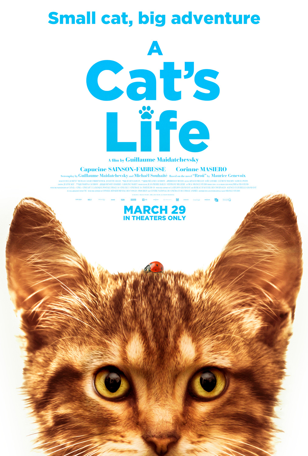 Exclusive A Cat's Life Trailer Previews FamilyFriendly Adventure Movie