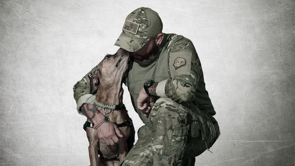 Military Soldier Dogs War Crime Terrorist Stock Photo 1420881137 |  Shutterstock