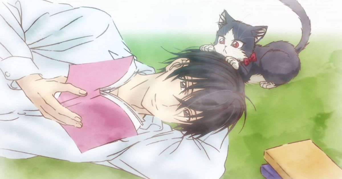 Crunchyroll My Roommate Is A Cat My Roommate is a Cat Season 1 Streaming: Watch & Stream Online via