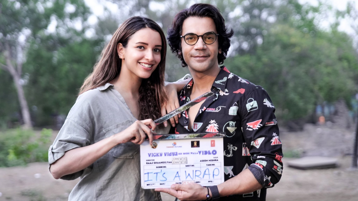 What Is Rajkummar Rao, Triptii Dimri’s Upcoming Movie Vicky Vidya Ka ...