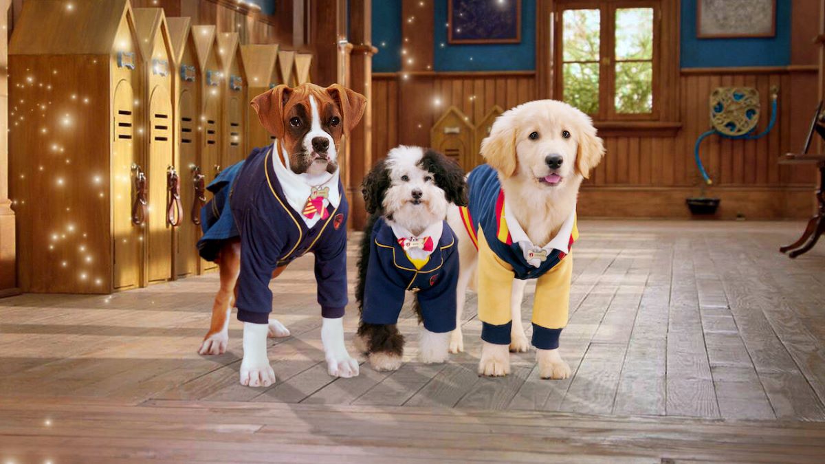 Pup Academy (2019) Season 1 Streaming: Watch & Stream Online Via Netflix