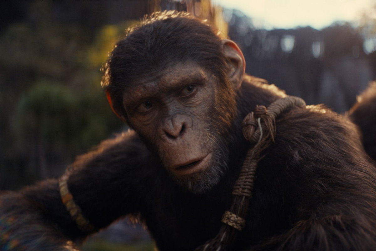 Owen Teague Went to ‘Ape School’ to Play Noa in Kingdom of the Planet ...