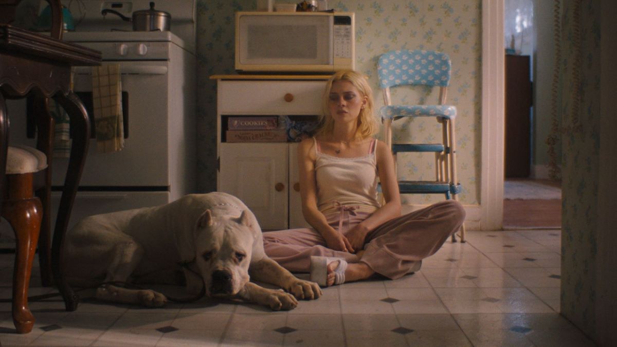 Lola (2024) Streaming Watch & Stream Online via Netflix