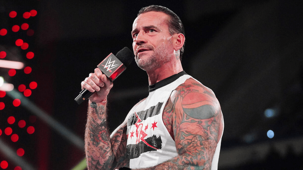 WWE Superstar CM Punk