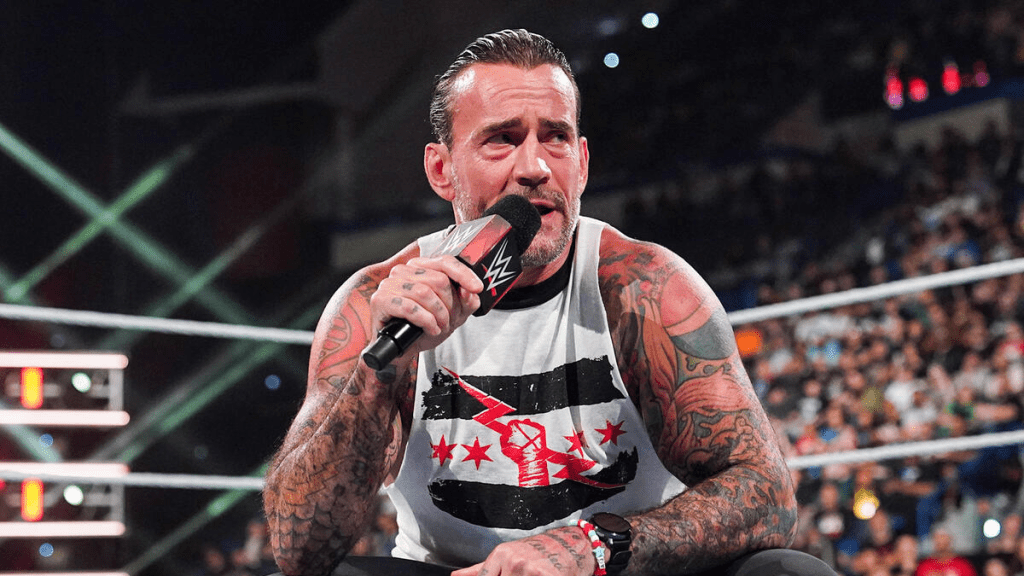 WWE Superstar CM Punk