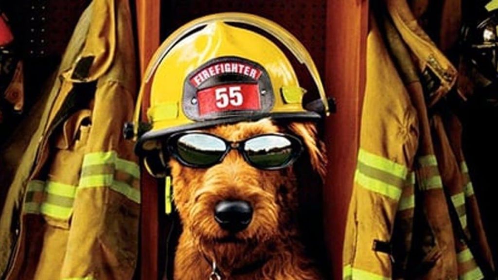 Firehouse Dog Streaming: Watch & Stream Online via Hulu