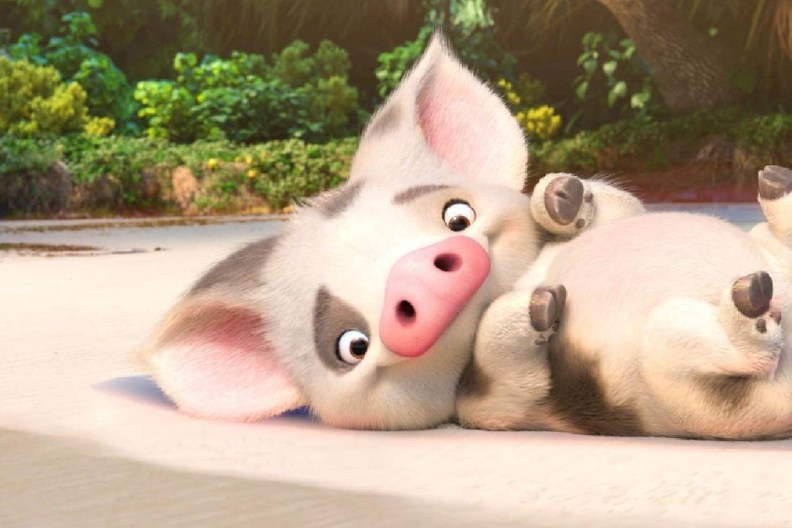 pig pua moana 2 trailer