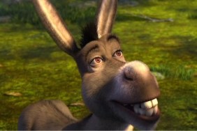 Donkey Movie Release Date Rumors: When Is It Coming Out?