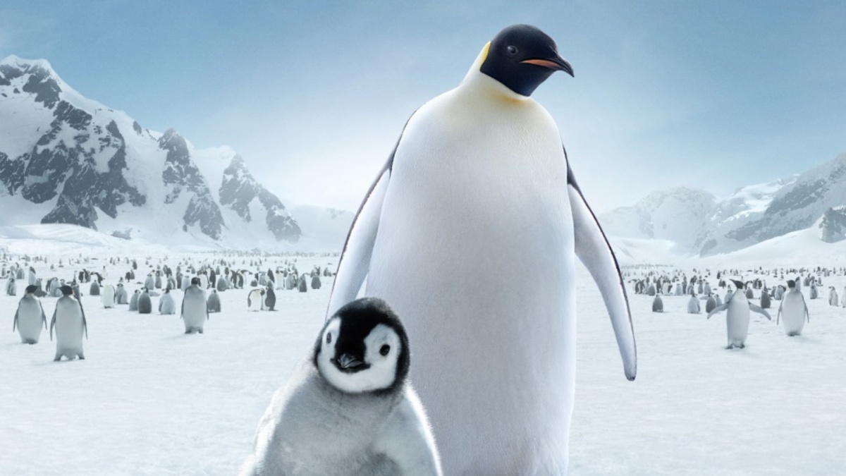 March of the Penguins 2: The Next Step Streaming: Watch & Stream Online ...