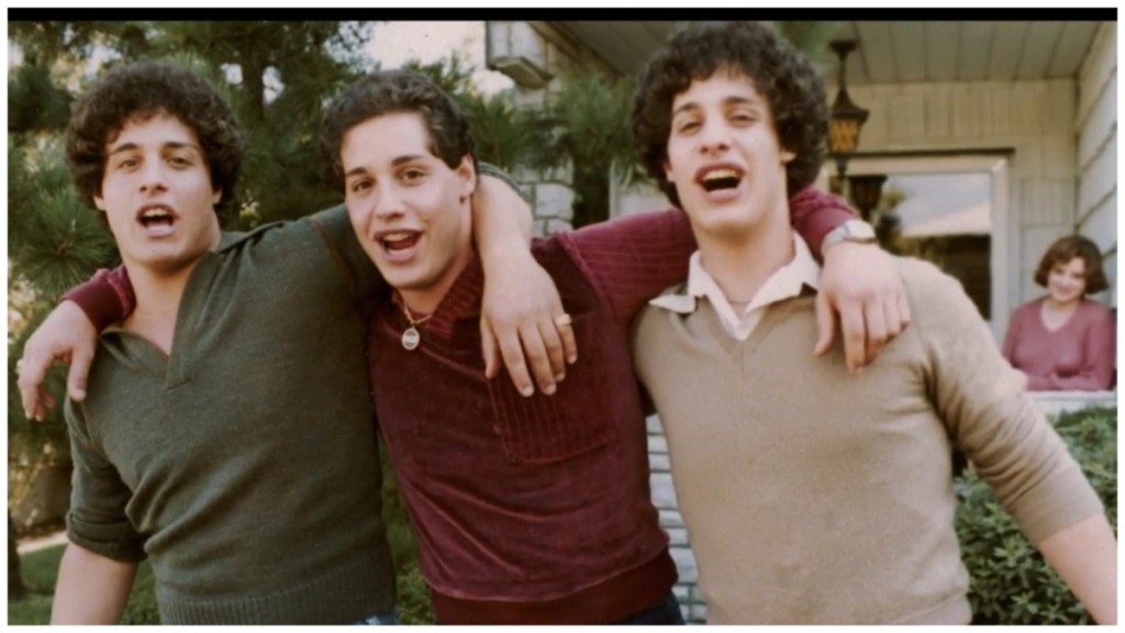 Three Identical Strangers