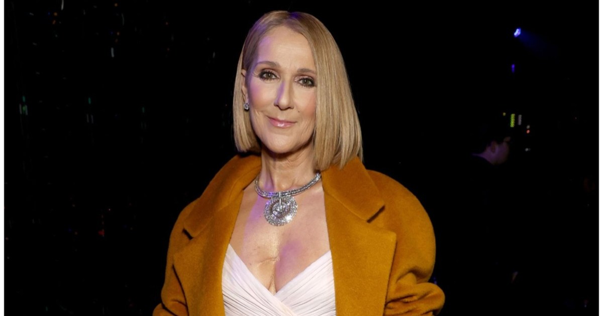 Celine Dion Net Worth 2024: How Much Money Does She Make?