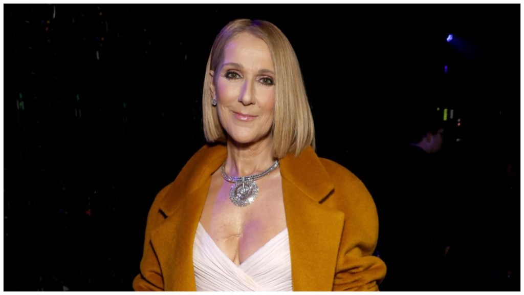 Celine Dion Net Worth 2024: How Much Money Does She Make?