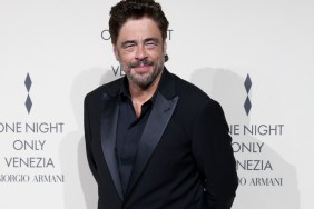 Benicio del Toro Cast in Paul Thomas Anderson’s New Movie With Leonardo DiCaprio