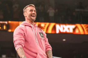 CM Punk at WWE NXT Battleground 2024