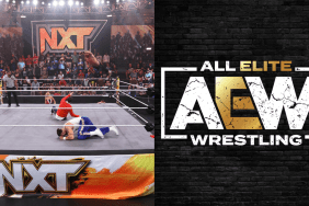 Were former AEW stars Matt Hardy, Mark Henry, Arn Anderson, and Jake Hager present on WWE NXT?